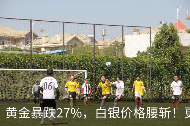 黄金暴跌27%，白银价格腰斩！更大的贵金属危机正在酝酿？